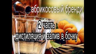 абрикосовый бренди#2!!самогон из абрикос .перегон и залив в бочку!!