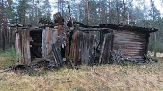 Коп в лесу. Что можно найти металлоискателем под землей.