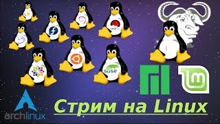 Ведьмак 3: Дикая Охота. Тестовый стрим на Manjaro Linux/Steam+Proton