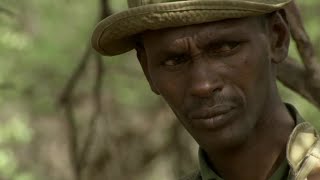 Heartbreaking Truth About Elephant Poaching | This Wild Life | BBC Earth