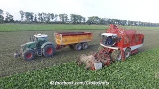 Sugarbeet Harvesting | Vervaet Beet Eater 625 | Fendt & Jan Veenhuis |