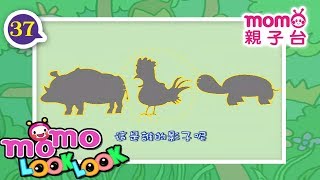 momo LOOK LOOK - 37【猜猜這是誰的影子 歌】momo歡樂谷S1｜玩遊戲：音樂木頭人｜兒歌｜童謠｜邊聽音樂邊學習｜動動腦｜猜一猜｜學齡幼兒【momo親子台｜官方】momokids