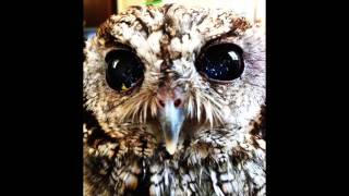 Minimal / Techno Music 1 hour by Nachtvogel 2014/2015 18#
