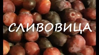 Сливовица