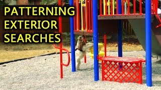 Scent Work Patterning Exterior Searches