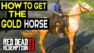How To Get The Best Horse - GOLD DUTCH WARMBLOOD Red Dead Redemption 2 Fastest Horses RDR2