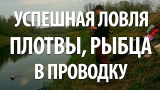 ПЛОТВА и РЫБЕЦ на ПОПЛАВОК. ЛОВЛЯ в ПРОВОДКУ на МАЛЫХ РЕКАХ с НОРМУНДОМ