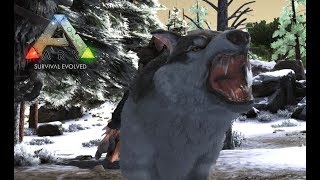 巨大オオカミ ダイアウルフを捕まろ！ ARK ゆっくり実況 #17