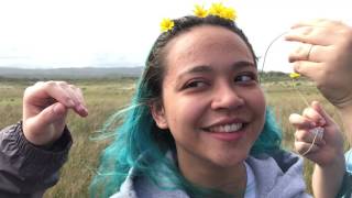 My Semester Abroad in Chile