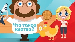 Из чего мы состоим? Что такое животная клетка?-Развивающие мультфильмы Познавака (28 серия, 1 сезон)