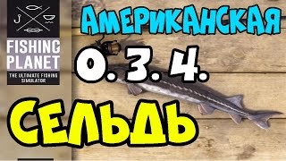 Fishing Planet Версия 0.3.4 | Американская Сельдь | Мичиган, озеро Сент-Круа | Прохождение 2016
