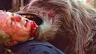5 СТРАШНЫХ НАПАДЕНИЙ ДИКИХ ЖИВОТНЫХ НА ЧЕЛОВЕКА