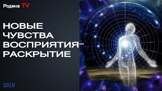 НОВЫЕ ЧУВСТВА ВОСПРИЯТИЯ - РАСКРЫТИЕ || канал Родина TV