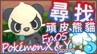 綠紙實況 Nintendo 3DS 精靈寶可夢 X / Y ( Pokémon X/Y )【 5號道路 : 尋找莎莉娜的頑皮熊貓! 說好的20%遇見率呢? 】(日語版)Ep.05