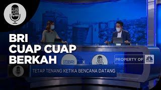 Pentingnya Lindungi Aset dengan Asuransi Bencana BRINS