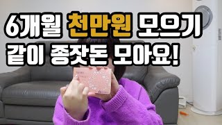 미친듯이 올해 돈 모아보자! 천만원 모으기 프로젝트 함께해요!! 목돈모으기 할수 있다!