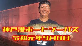 神戸港ボートシーバス／らっきょう、秋パターンリベンジ編／2019年9月8日