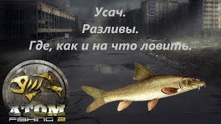 Atom Fishing II - Усач. Разливы. Где, как и на что ловить.