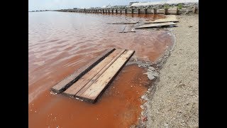 Розовое озеро Сасык-Сиваш. Крым. 26.06.2019 год.