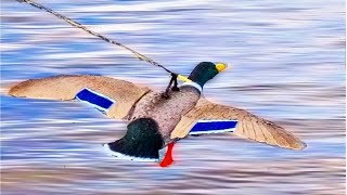 Карусель для уток, крутящаяся установка. Отличная приманка для охоты на уток и голубей!
