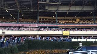 Hollywood Park race track's last day of racing