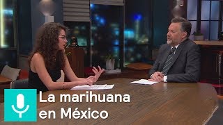 ¿Es imparable la legalización de la marihuana? - Es la hora de opinar 19 de abril de 2018