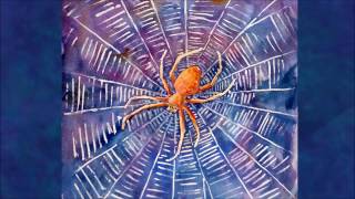Spider Totem: Spirit Meaning of Spider