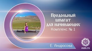 Как сесть на шпагат? Шпагат для начинающих. Продольный шпагат (хануманасана).