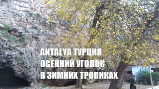 ANTALYA Осень как дома среди пальм и апельсиновых деревьев