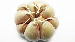 SÚC RUỘT - CÁCH LÀM DỊCH TRUYỀN TỎI ĐỂ DÙNG VỚI TÚI SÚC RUỘT