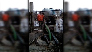 В Городище Волгоградской области жители сняли на видео "шабаш" ассенизаторов
