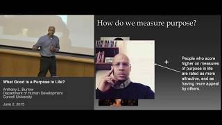 What good is a purpose in life?