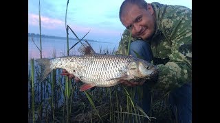 Рыбалка Дикарем на Реке Волге Ловля с Берега на Закидушки Донку Язь Голавль