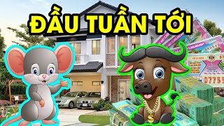 THẦN TÀI BAN LỘC 2 Con Giáp ĐẾN THỜI, TRÚNG SỐ LIÊN TỤC, Đầu Tuần Sau ĐỔI ĐỜI Giàu Nhanh Chóng Mặt