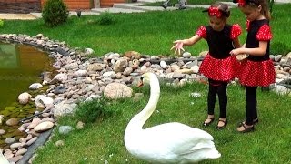 КОНТАКТНЫЙ ЗООПАРК. КОРМИМ И ГЛАДИМ ЖИВОТНЫХ. ДЕТСКИЙ ЗООПАРК. Детский канал Расти вместе с нами.