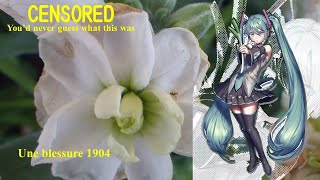 【Hatsune Miku】負傷. 校及家庭用言文一致叙事唱歌第四篇. ： Une blessure. 【vocaloid 2】初音ミク