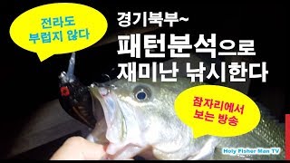 배스낚시, Bass Fishing, 경기북부에서도 재미난 낚시를 한다, 잠자리에서 보는 야습낚시