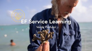 Service Learning with EF: Verde Profundo