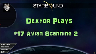 StarBound 17 Avian Scanning 2