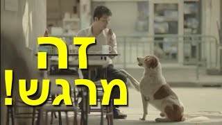פרסומת תאילנדית נדירה שתגרום לך לבכות מהתרגשות