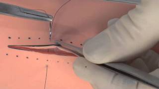 SIM SUTURE - 6. The Vertical Mattress Suture
