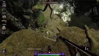 Warhammer Vermintide 2 fatiou passou!
