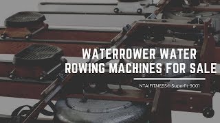 Rowing Machine for Sale, Buy Best Rower for Weight Loss Online