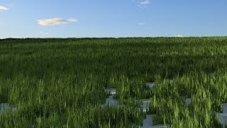 Fastest way to make Grass in Blender Cycles!