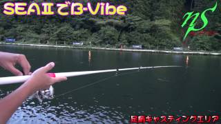 SEAⅡ＋B-Vibe＝釣れちゃうよ！