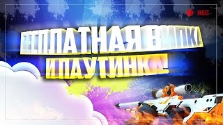 Counter strike 1.6 зомби сервер с бесплатной випкой+паутинка #26 (Создатель)