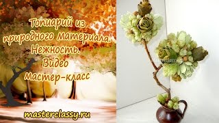 Топиарий из природного материала. Нежность. Видео мастер-класс с фото
