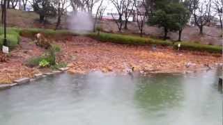 三崎池　南側桟橋　愛知県豊明市　ブラックバス　釣りポイント　１月