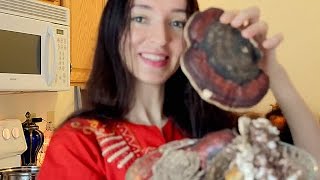 How to make Chaga Mushroom Tea