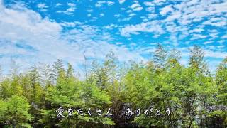 父娘酒 / 金田たつえ　Cover：Doenka Eiko